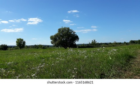 Summer landscape using as background or concept of wallpaper. Natural background for design