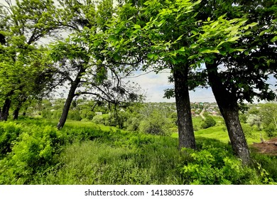 Summer landscape using as background or concept of wallpaper. Natural background for design