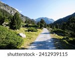 Summer landscape in Vall de Boi, Aiguestortes and Sant Maurici National Park, Pyrenees, Spain