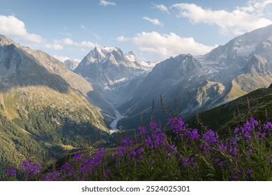 Summer landscape view of a valley. - Powered by Shutterstock