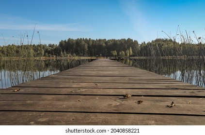 Summer landscape with wood long jetty or wooden pier in perspective, way over lake or river, forest on horizon and clear blue sky. - Powered by Shutterstock