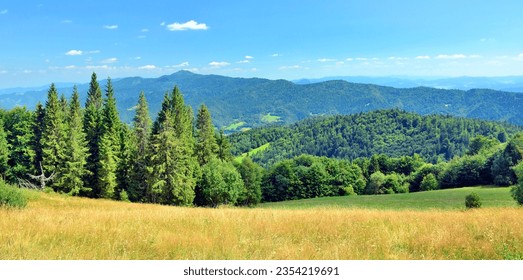  Summer lanscape in  mountains. View of the Luban range in the Gorce Mountains, Poland.