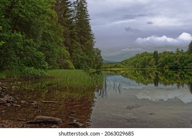 Summer At Loch Ard, Stirlingshire