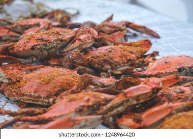 Summer Maryland Crabs 