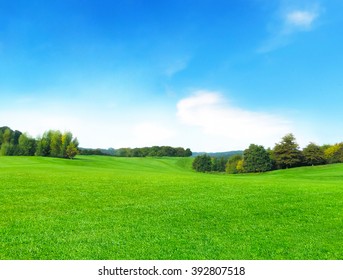 summer meadow and blue sky with fluffy clouds          