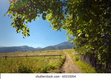 summer meadow in the mountains - Shutterstock ID 65515054