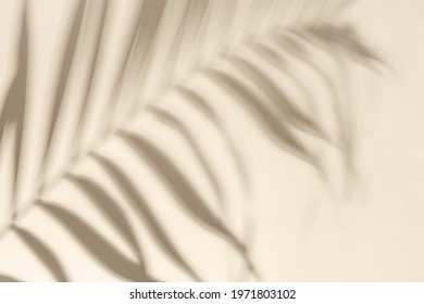 Summer minimal background with shadow from natural palm leaf on light yellow paper with copy space. Pastel colored aesthetic photography with palm plant.
