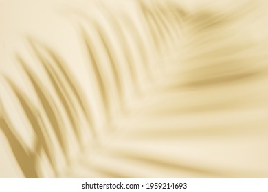 Summer minimal background with Shadow of palm tree leaf on light yellow paper. Pastel colored aesthetic photography with palm plant.
