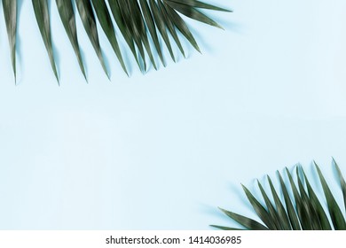 Summer modern composition. Tropical green leaves of palm tree on pastel blue background. Flat lay, top view, copy space - Shutterstock ID 1414036985