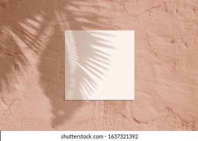 Summer modern sunlight stationery mockup scene. Flat lay top view blank greeting card with palm leaf and branches shadow overlay on grunge terracotta background.