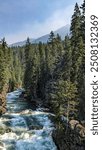 summer morning in North Cascades National Park in Stehekin, Washington. cold river run though cliffs and evergreen trees