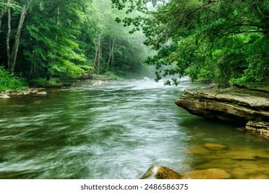 Summer morning and Rhoddodendron in bloom along the Back Fork of Elk River, Webster County, West Virginia, USA - Powered by Shutterstock