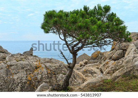 Similar – Image, Stock Photo Costa Brava Nature