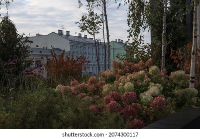 Summer In Moscow. Mokhovaya Street