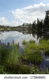 Summer Mountain Lake Reflection With Granite, Trees, Emigrant Wilderness, Stanislaus National Forest, California