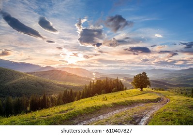 Summer mountain landscape. Dirt road and alone tree in the mountains on the background of sunset. Rays of the sun breaking through the clouds. Carpathian mountains, Ukraine.