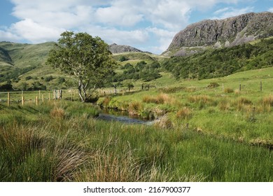 Summer Mountain Scene In Cwm Pennant, Snowdonia National Park, North Wales.