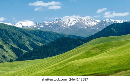 Summer in the mountains. Mountains are both a journey and a goal. They urge us to climb their slopes, explore their canyons and try to climb their peaks. - Powered by Shutterstock