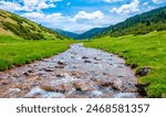 Summer in the mountains. River in the highlands. Summer landscape. Thousands of tired, nervous, overly civilized people are beginning to understand that going to the mountains means going home.