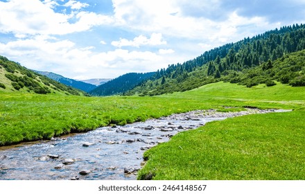 Summer in the mountains. River in the highlands. Summer landscape. Thousands of tired, nervous, overly civilized people are beginning to understand that going to the mountains means going home. - Powered by Shutterstock