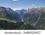 Summer natural landscape of the Karakol Gorge. Mountain range, dense coniferous forest and snow capped peaks. Travel destination in Kyrgyzstan, Kirgiziya Mountains. Scenery, hight point of view