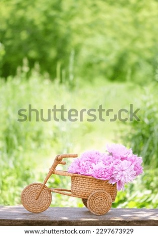 Similar – Wunderschöne Sommerszene mit Blumenstrauß der Kamille