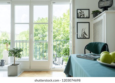 Summer nature view from a balcony outside a white dining room interior with a magazine and fruit on a wooden table - Shutterstock ID 1203074698