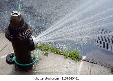 Summer In New York City - Fire Hydrant Sprays During A Block Party In Brooklyn