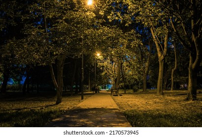 76,197 Lanterns tree night Images, Stock Photos & Vectors | Shutterstock