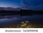Summer night scape
