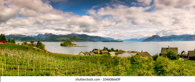 Summer In Nordheimsund, Hardanger A Part Of Hordaland Norway