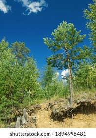 Summer Nordic Forest Landscape. Rocks And Hills At The Taiga, In The North. Evergreen Pine And Foliage Trees. Blue Sky And White Clouds. Ural Mountains.