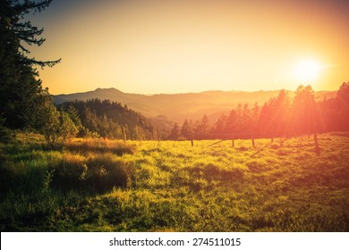 Summer In Northern California. Eureka, California Countryside. Nature Landscape.