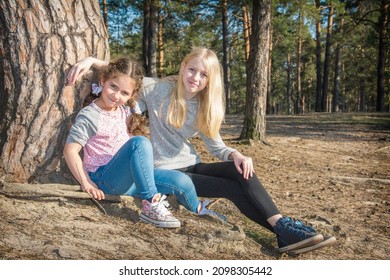 In summer, on a bright sunny day, two smiling girl friends are sitting in the forest under a pine tree.