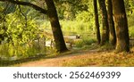 Summer on the lake, summer lamdscape. Lake Zemborzyckie in the Lublin. Fallen tree in to the lake.
Holiday at the lake.