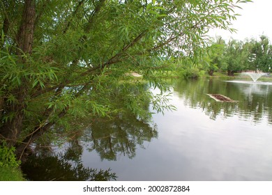 Summer On The Reflection Pond At Every Home For Christ, Colorado Springs.