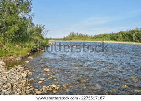 In summer on the river of the Polar Urals. Summer water landscape of the northern river.