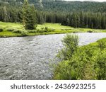 Summer on Soda Butte Creek in Yellowstone National Park Wyoming.