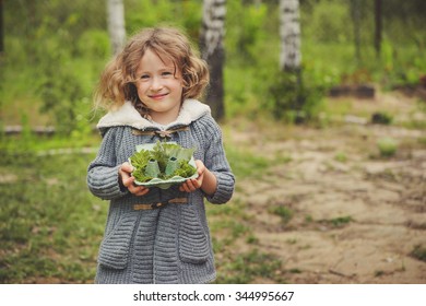 Summer Outdoor Activity For Kids - Scavenger Hunt, Leaves Sorting In Egg Box, Nature Exploration