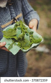 Summer Outdoor Activity For Kids - Scavenger Hunt, Leaves Sorting In Egg Box, Nature Exploration