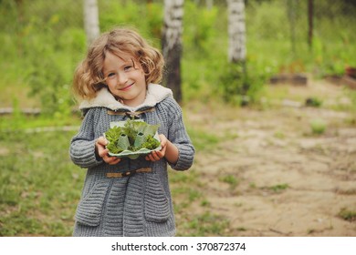 Summer Outdoor Activity For Kids - Scavenger Hunt, Leaves Sorting In Egg Box, Nature Exploration