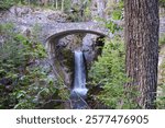 Summer overlook on scenic Christine Falls, a 60 foot plunging waterfall framed by a historic arched bridge in Mount Rainier National Park.