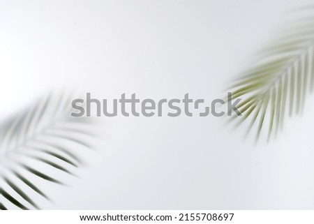 Summer palm tree branches save space. Minimal tropics contemporary concept blurred image.