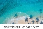 Summer palm tree  and Tropical beach with blue  of seashore background