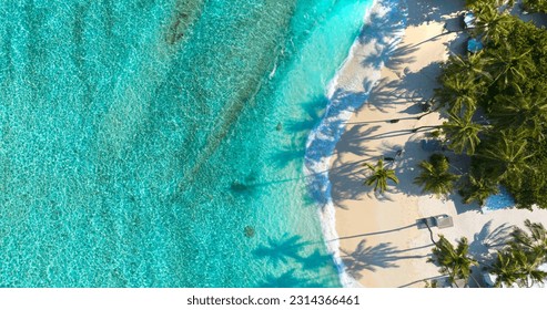 Summer palm tree  and Tropical beach with blue  sky background - Shutterstock ID 2314366461
