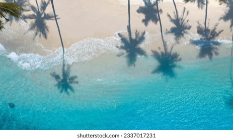 Summer palm tree  and Tropical beach with blue  sky background