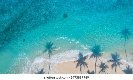 Summer palm tree  and Tropical beach with blue  of seashore background - Powered by Shutterstock