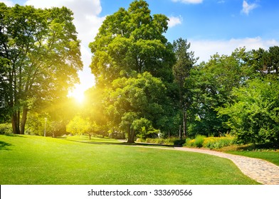 Summer Park With Beautiful Green Lawns