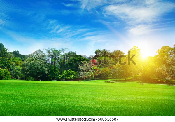 Summer Park Beautiful Green Lawns Stock Photo (Edit Now) 500516587