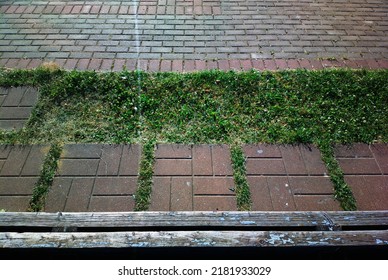 Summer Park Bench Top Down View